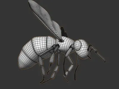 flying bee 3D model