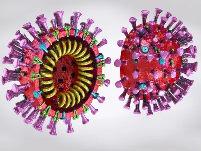 Corona virus 2019 3D model