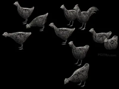Chicken Ranch - Rooster and 9 Posed Hens - Black -  3D model