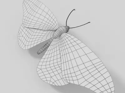 Monarch Butterfly Low-poly 3D model