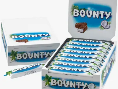 Bounty Box 3D model