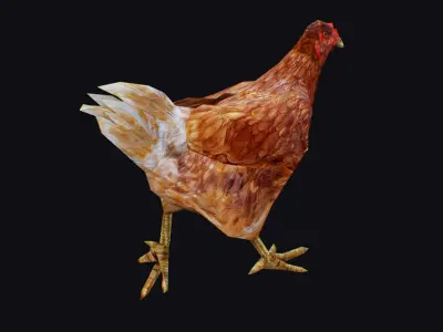 Chicken Roaster Farm Bird Animated Animal Village Birds Poultry Low-poly 3D model