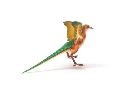 Colorful Archaeopteryx model pack Low-poly 3D model