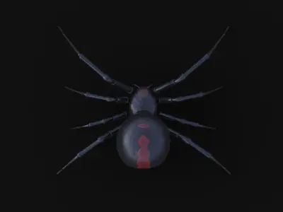 Black Widow rigged animated 3d spider 3D model