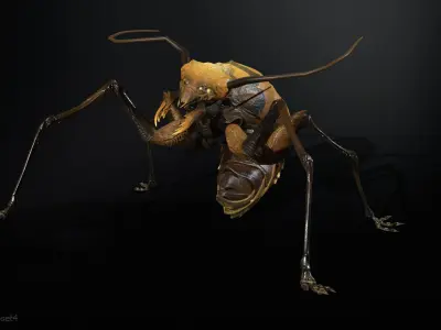 Cockroach1 Low-poly 3D model
