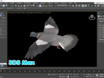 Realistic Animated Wood Pigeon Low-poly 3D model