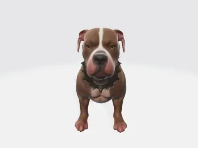 Pitbull dog 3D model