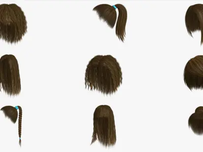 Polygon Hair Collection 4 3D model