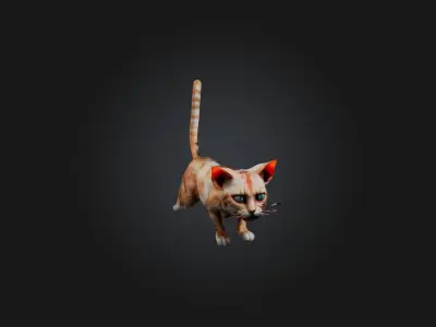 Realistic Hurt Cat Model Low-poly 3D model