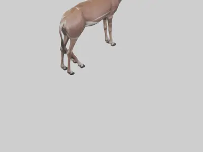 Kudu grazing model Low-poly 3D model
