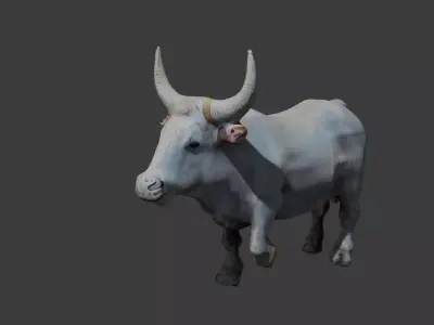 pakistani rajistan long horn white bull 3d model Free low-poly 3D model