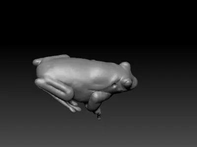 Marvelous Frog sculpt 3D model