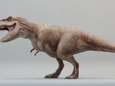 Tyrannosaurus Rex Rigged Low-poly 3D model