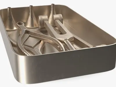 ENT Diagnostic Kit in Box Gold-Plated Stainless Steel 3D model