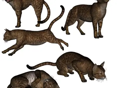 wendys savannah cat 3D model