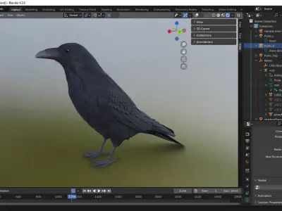 Realistic Animated Raven Low-poly 3D model