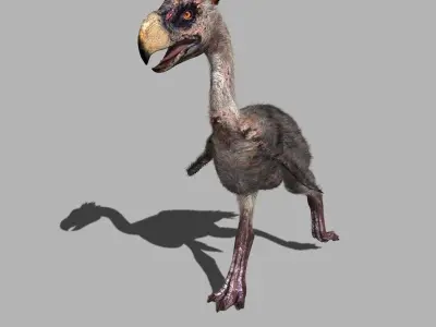 Terror Bird Phorusrhacos 3d model 3D model