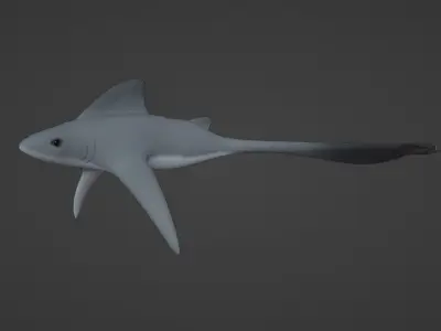 SHARK WITH LONG TAIL Low-poly 3D model