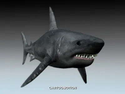 Great white shark Free low-poly 3D model