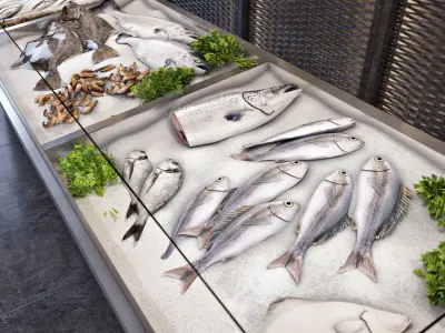 Showcase with fish and seafood 3D model