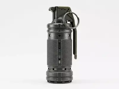 Flash Grenade 3D model