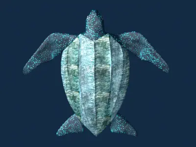 Leather back Turtle Low-poly 3D model