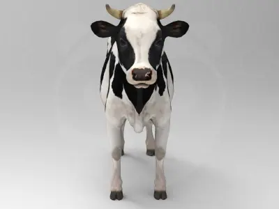 White Cow - Rigged - Animated 3D model