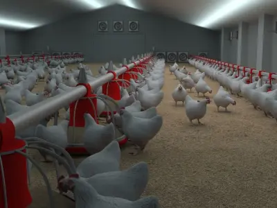 Poultry farm with rigged and animated chickens 3D model