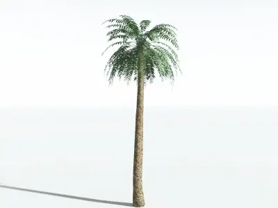 EVERYPlant Date Palm LowPoly 2 --16 Models-- Low-poly 3D model