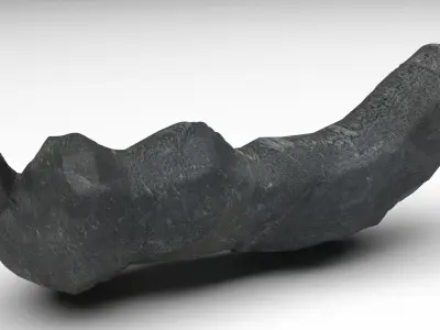 Dunkleosteus Tooth 3D model