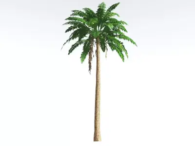EVERYPlant African Oil Palm LowPoly 1 --16 Models-- Low-poly 3D model