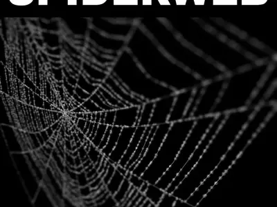 Spiderweb 2 3D model