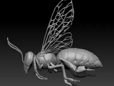 Honey bee in flight Free 3D model