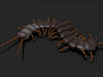 Centipede Rigged and Animated 3D model Low-poly 3D model