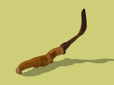 Cordyceps Low-poly 3D model