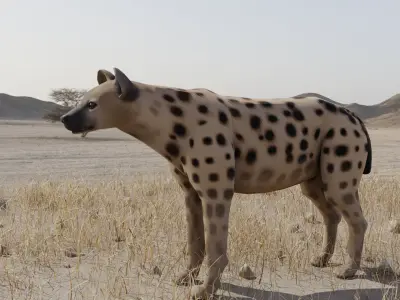 Hyena dog Low-poly 3D model