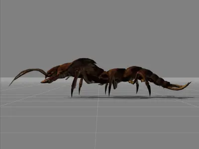 Centipede Animal Low-poly 3D model