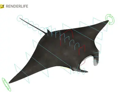 Manta Ray with animation 3D model