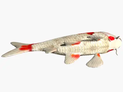 Koi Carp fish Low-poly 3D model