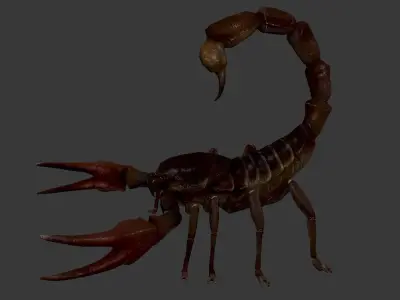 Scorpion Low-poly 3D model