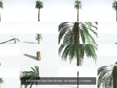 EVERYPlant Date Palm Bundle --64 Models-- 3D Model Collection