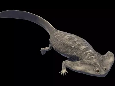 Diplocaulus Asset Pack Low-poly 3D model