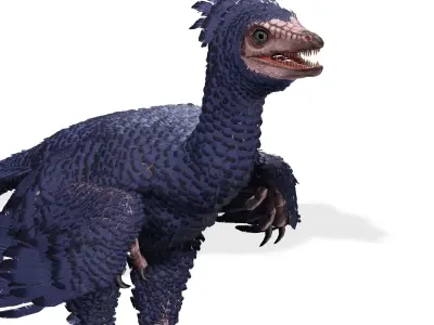 BIRD RIGGED PREHISTORIC BIRD Low-poly 3D model