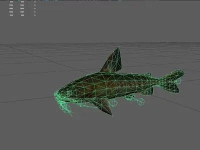 Catfish Low-poly 3D model