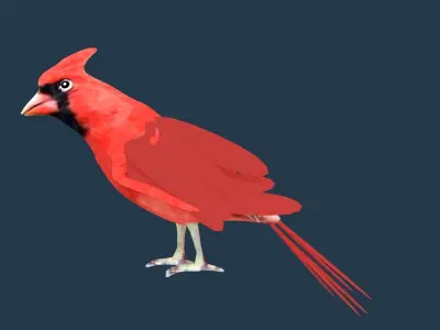 Cardinal bird 3D model