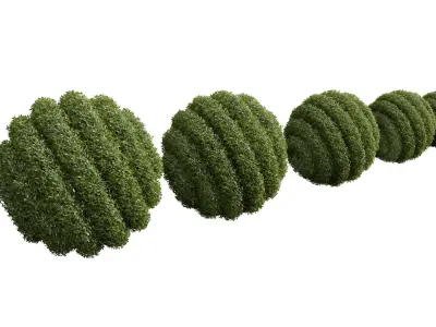 Bacopa Diffusa Sutera Decorative Ligustrum Quihoui Privet Pruned 3D model