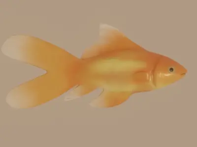 Goldfish 3D model