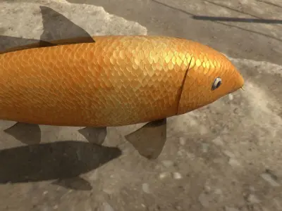 Carp koi fish Low-poly 3D model