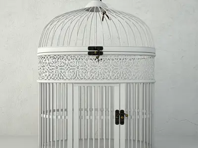 White Metal Bird Cage by ZARA HOME 3D model
