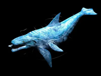 sea monster lowpoly rigged game ready  Low-poly 3D model